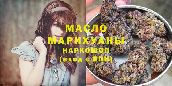 индика Бронницы